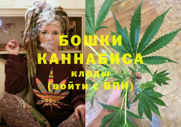 крисы Протвино