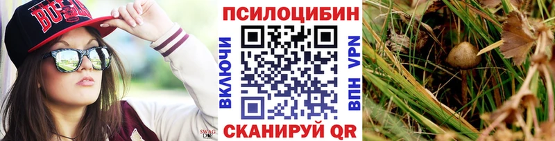 Псилоцибиновые грибы ЛСД  цены   MEGA как войти  Ленинск-Кузнецкий 